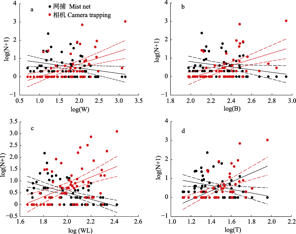 Comparing the effectiveness of camera trapping to traditional methods for  biodiversity surveys of forest birds